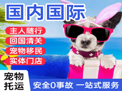 临汾尧都机场快递国际宠物托运 【国